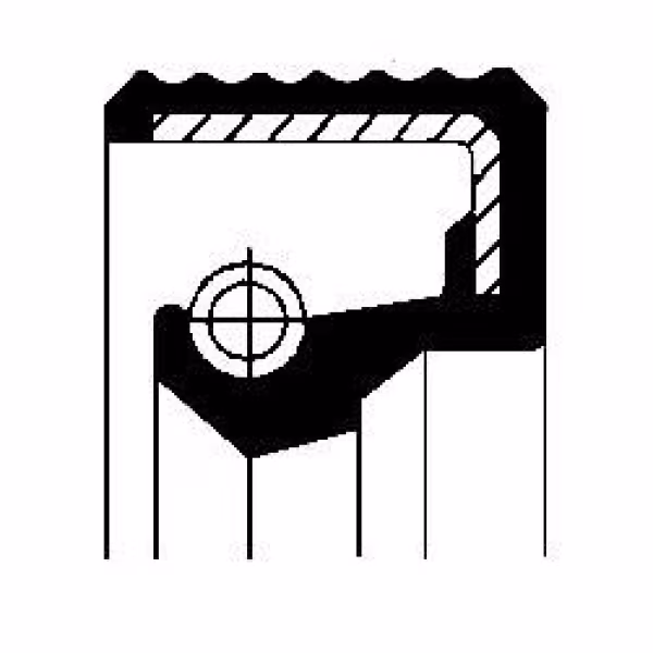 CORTECO Anello di tenuta