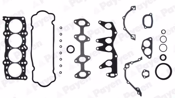 PAYEN Kit completo guarnizioni, Motore