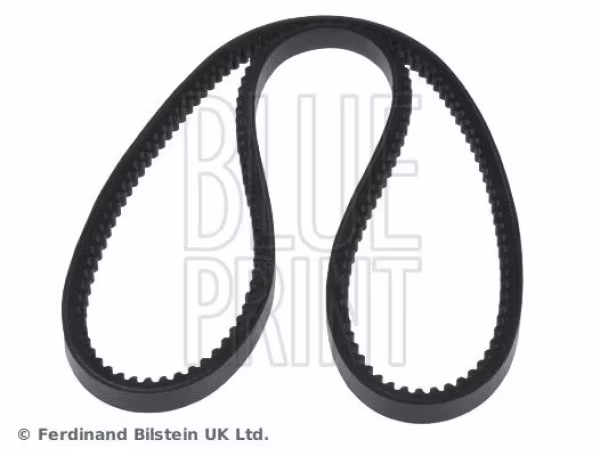 Cinghia trapezoidale