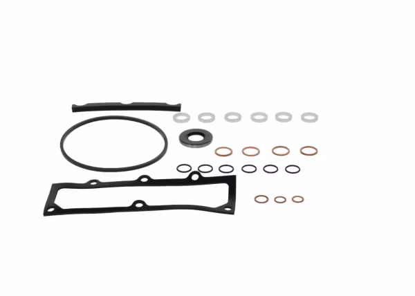BOSCH Kit guarnizioni, Pompa iniezione