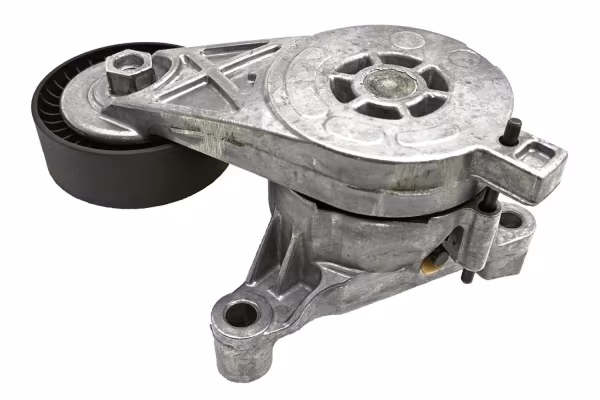 SKF Tendicinghia, Cinghia Poly-V