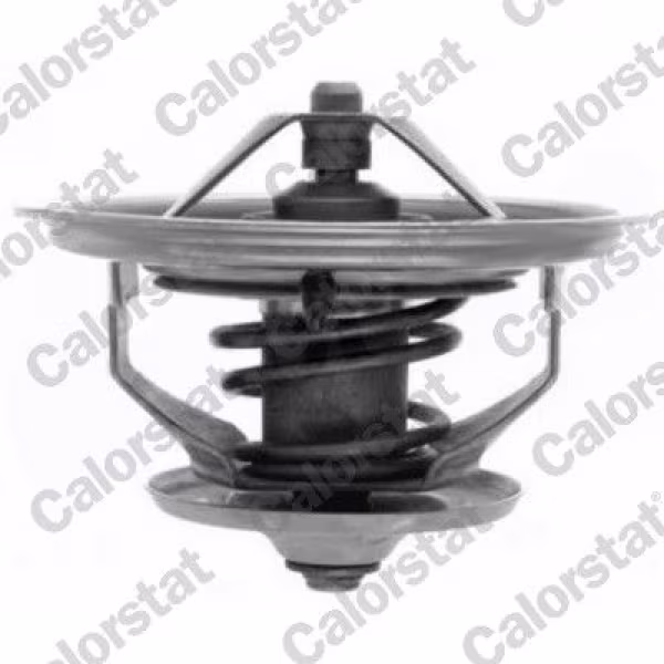 CALORSTAT by Vernet Termostato, refrigerante