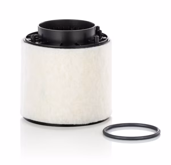 MANN-FILTER Filtro aria