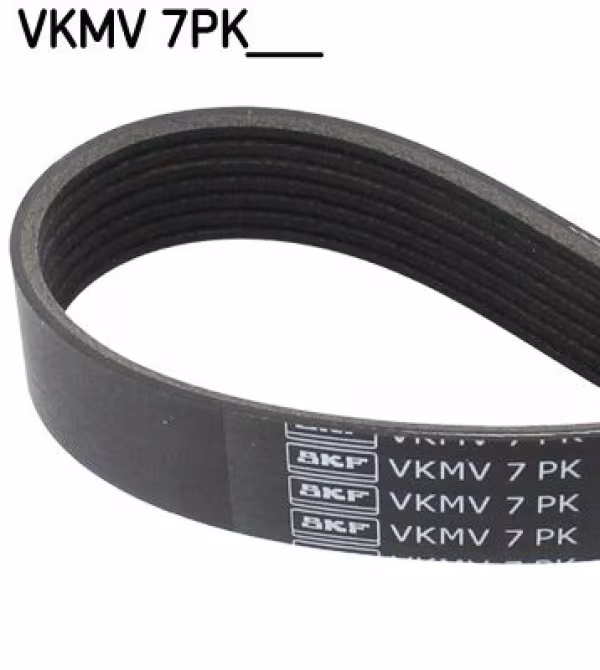SKF Cinghia Poly-V
