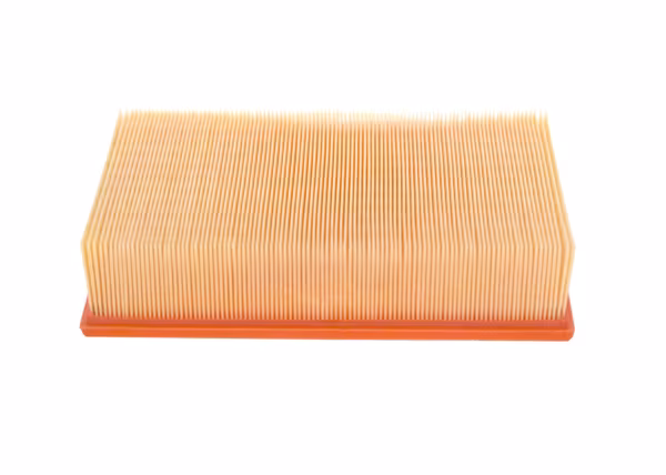 BOSCH Filtro aria