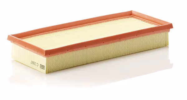 MANN-FILTER Filtro aria