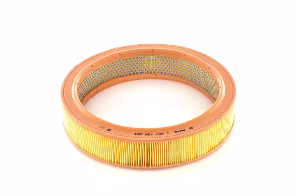 BOSCH Filtro aria