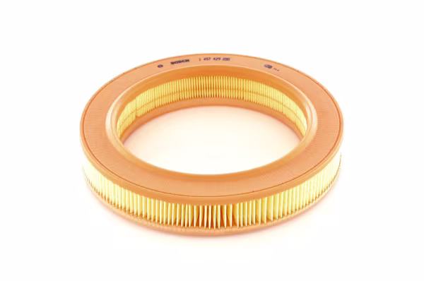 BOSCH Filtro aria