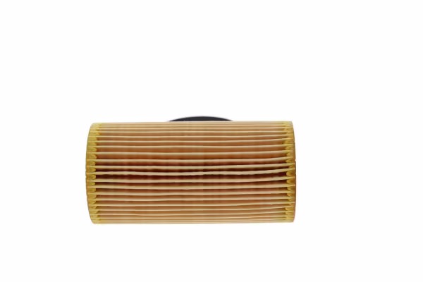 BOSCH Filtro olio