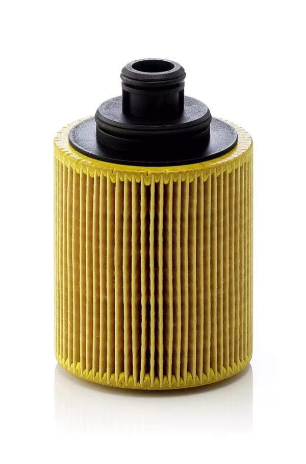 MANN-FILTER Filtro olio