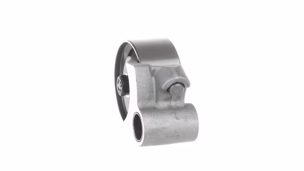 SKF Rullo tenditore, Cinghia dentata