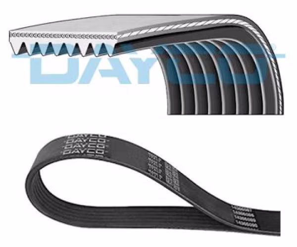 DAYCO Cinghia Poly-V