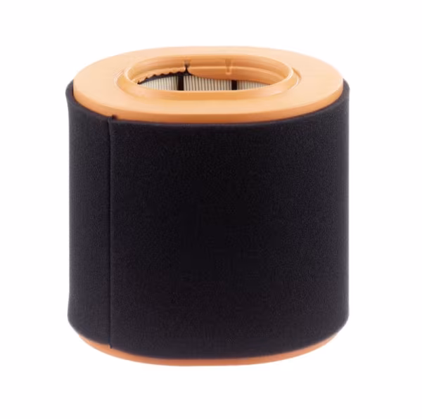 MANN-FILTER Filtro aria