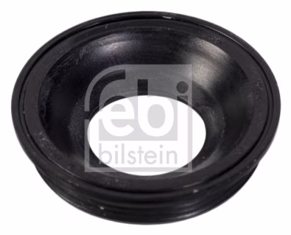 FEBI BILSTEIN Guarnizione, Portapolverizzatore