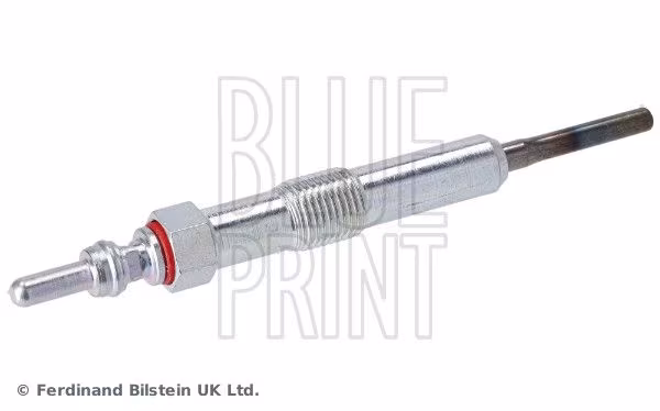 BLUE PRINT Candeletta