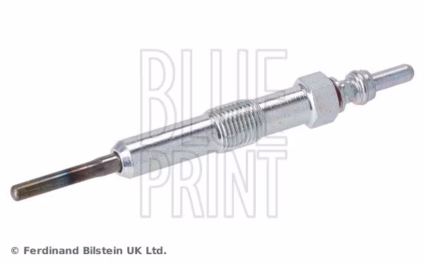 BLUE PRINT Candeletta