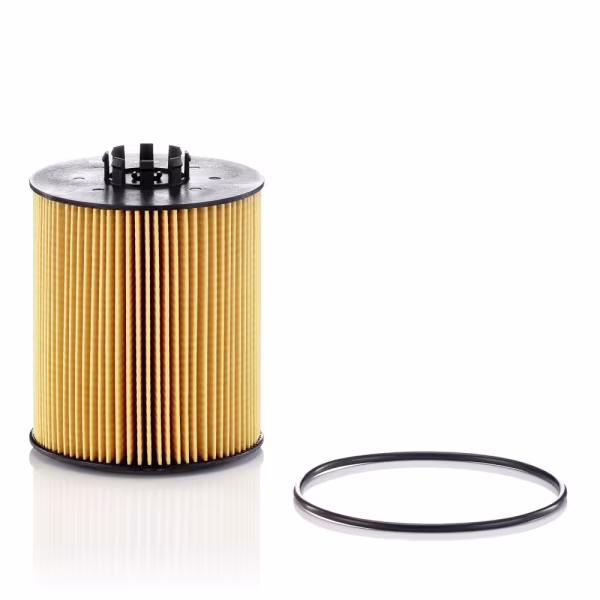 MANN-FILTER Filtro olio