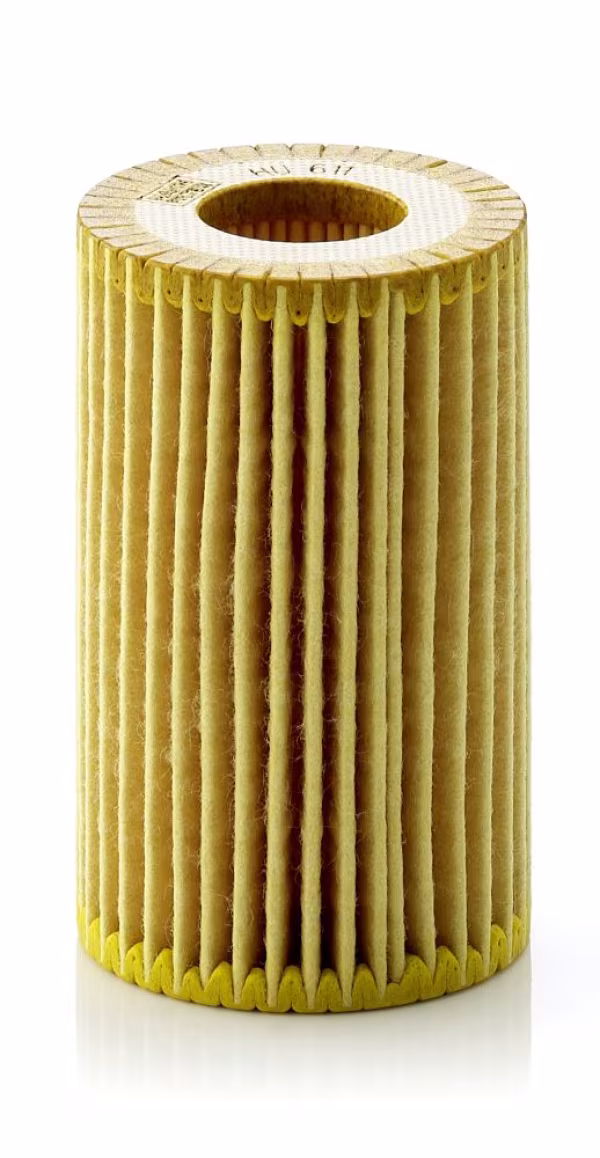 MANN-FILTER Filtro olio