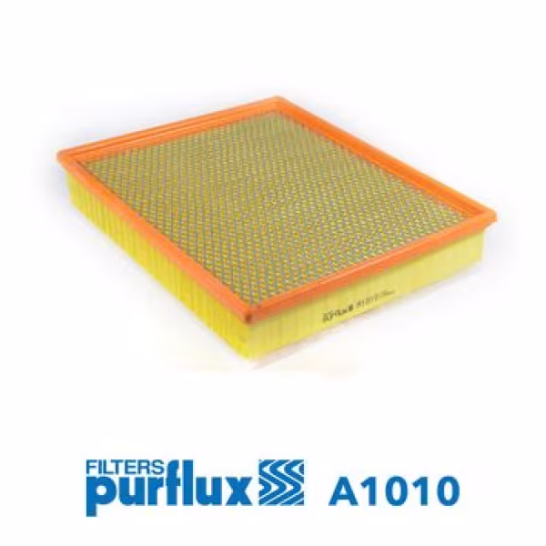 PURFLUX Filtro aria