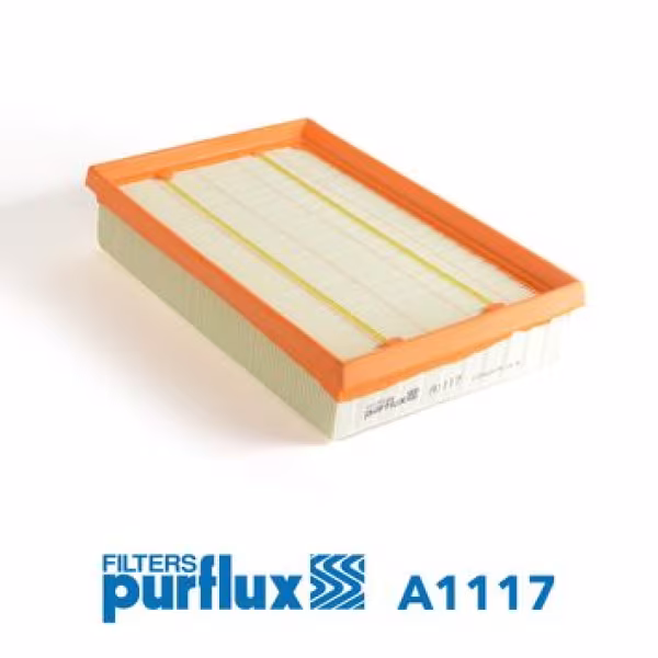 PURFLUX Filtro aria