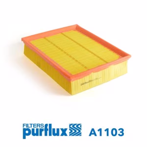 PURFLUX Filtro aria