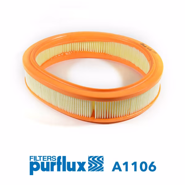PURFLUX Filtro aria