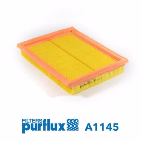 PURFLUX Filtro aria