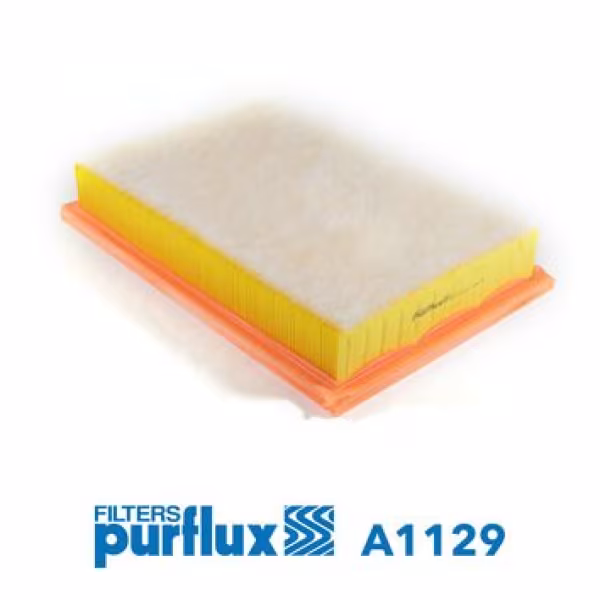 PURFLUX Filtro aria