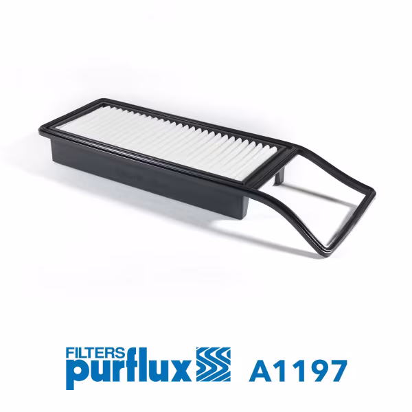 PURFLUX Filtro aria