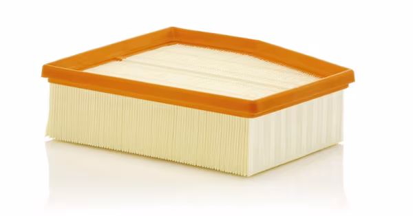 MANN-FILTER Filtro aria