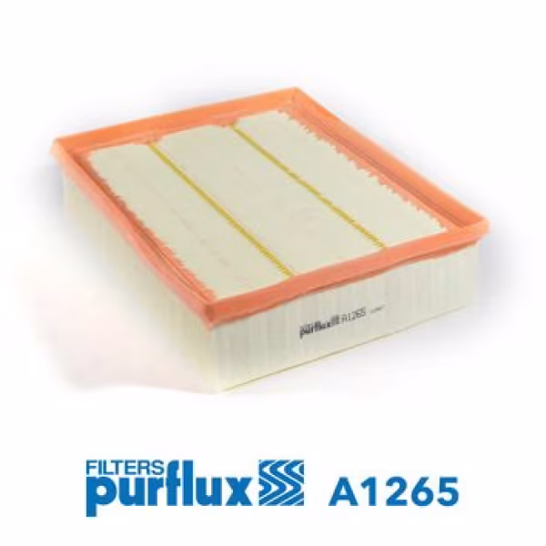 PURFLUX Filtro aria