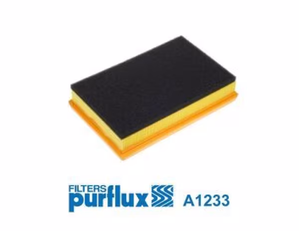 PURFLUX Filtro aria