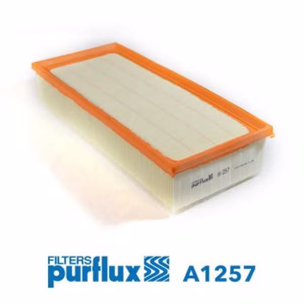 PURFLUX Filtro aria