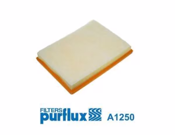 PURFLUX Filtro aria