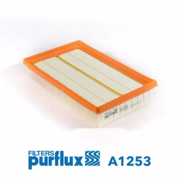 PURFLUX Filtro aria