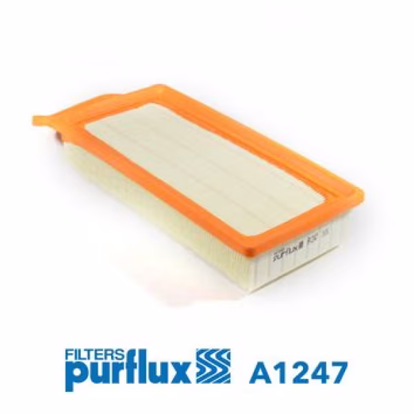 PURFLUX Filtro aria