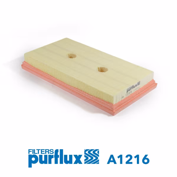 PURFLUX Filtro aria
