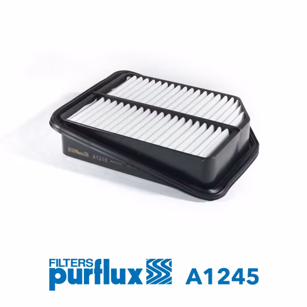 PURFLUX Filtro aria