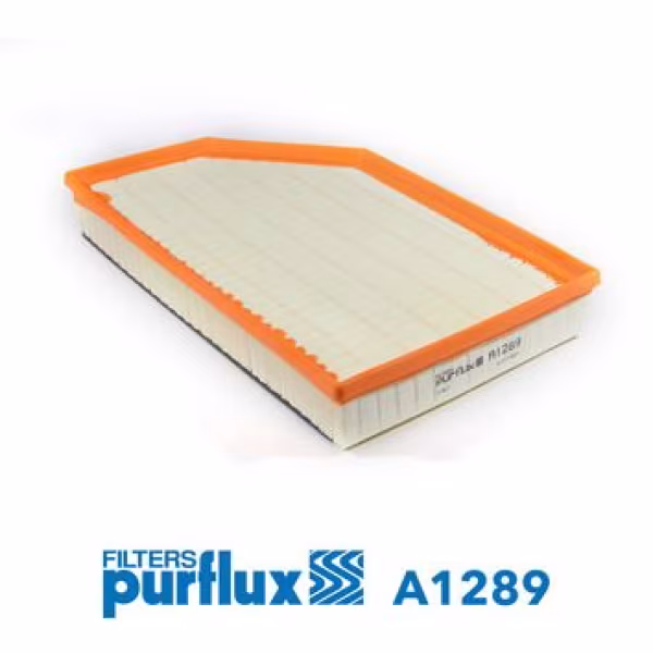 PURFLUX Filtro aria