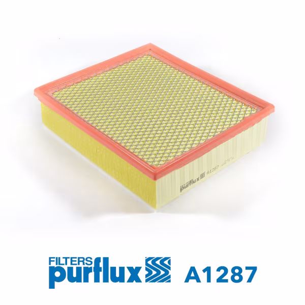 PURFLUX Filtro aria
