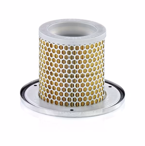 MANN-FILTER Filtro aria secondaria