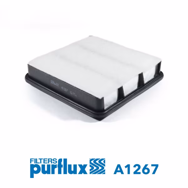 PURFLUX Filtro aria