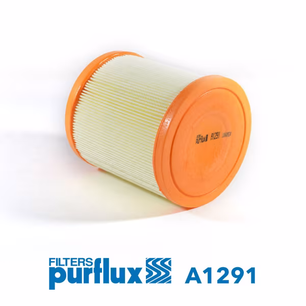 PURFLUX Filtro aria