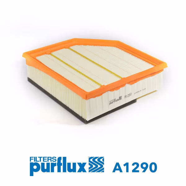 PURFLUX Filtro aria