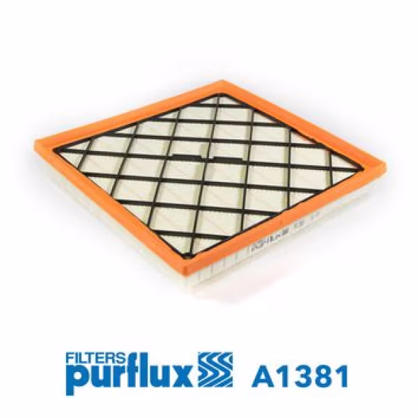 PURFLUX Filtro aria