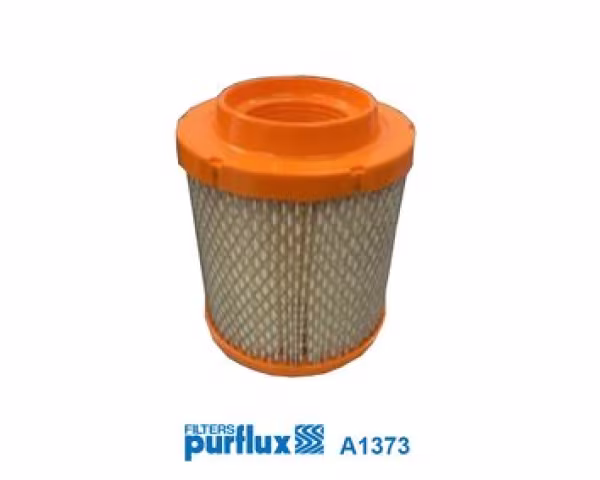 PURFLUX Filtro aria