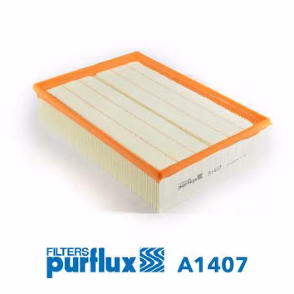 PURFLUX Filtro aria