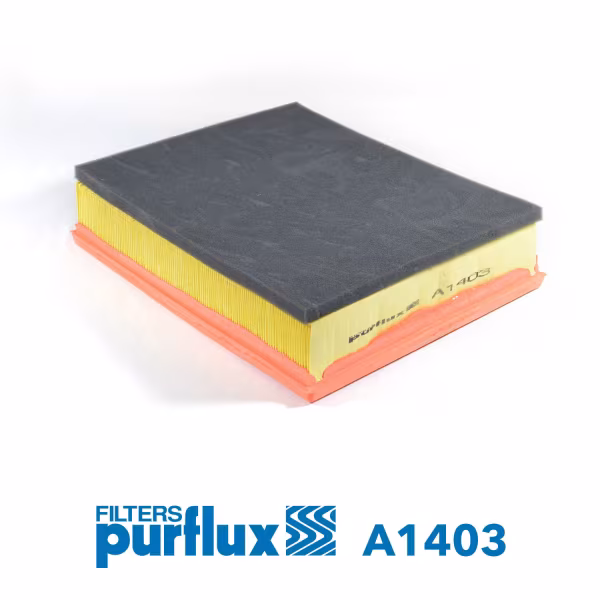 PURFLUX Filtro aria