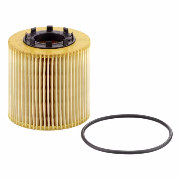 MANN-FILTER Filtro olio