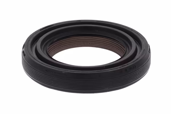 Paraolio, Albero a camme